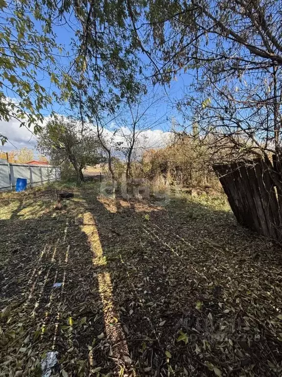 Участок в Белгородская область, Алексеевский муниципальный округ, с. ... - Фото 0