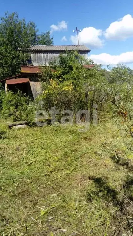 Участок в Костромская область, Кострома Сад Бетонщик СНТ, 5 (6.2 сот.) - Фото 0