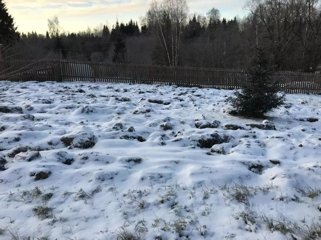 Участок в Московская область, Пушкинский городской округ, д. Раково  ... - Фото 2