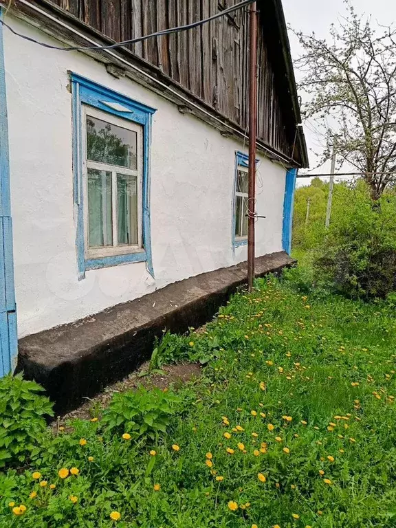 Дом 60 м на участке 25 сот. - Фото 1