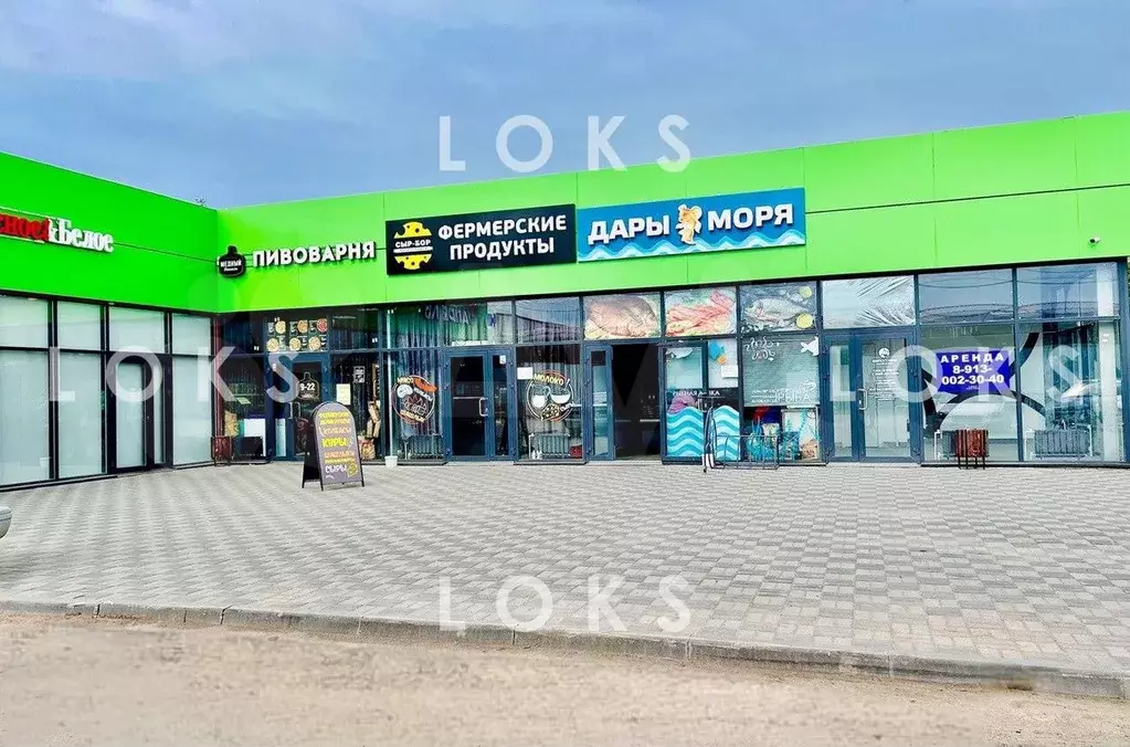 Торговое с витринами 18,5 м Ул. Федора Горячева - Фото 0
