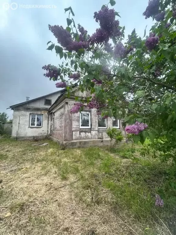 Дом в село Троицкие Озёрки, Центральная улица (78 м) - Фото 0