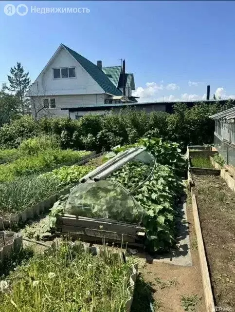 Участок в Читинский район, село Засопка (7 м) - Фото 1