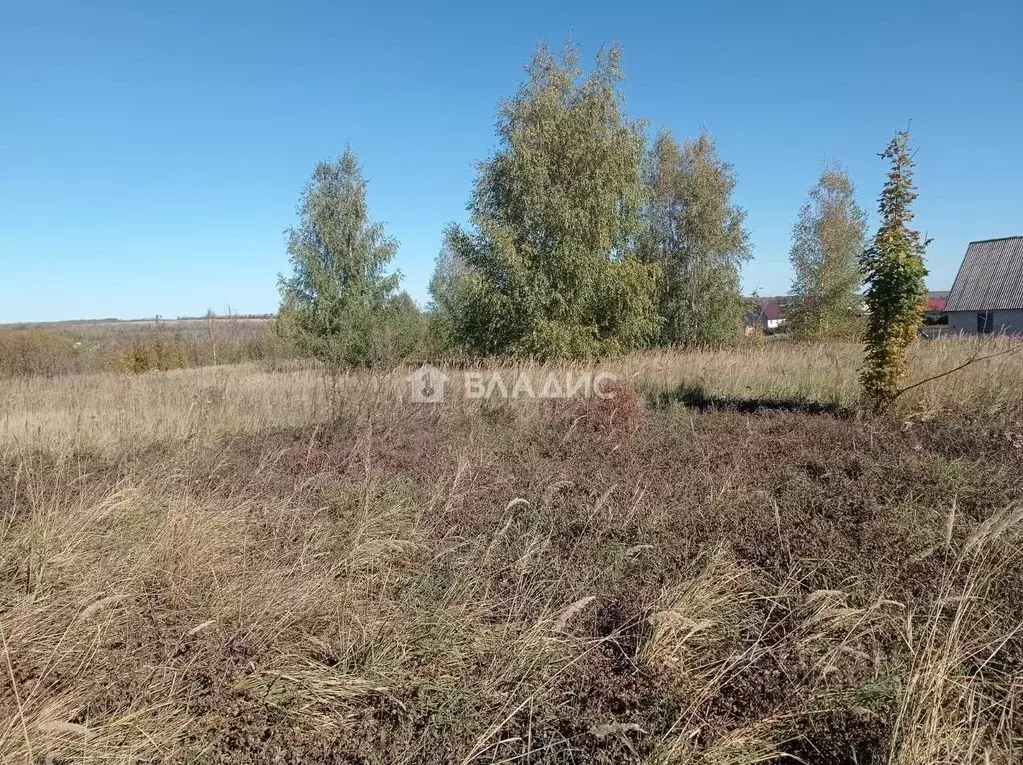 Участок в Пензенская область, Мокшанский район, Рамзайский сельсовет, ... - Фото 2