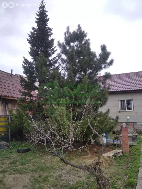 Дом в посёлок Солонцы, СНТ Ветерок, 2-я улица (110 м) - Фото 1