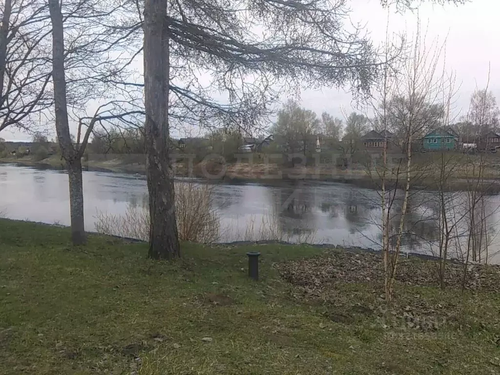 Участок в Новгородская область, Боровичский район, Опеченское с/пос, ... - Фото 0