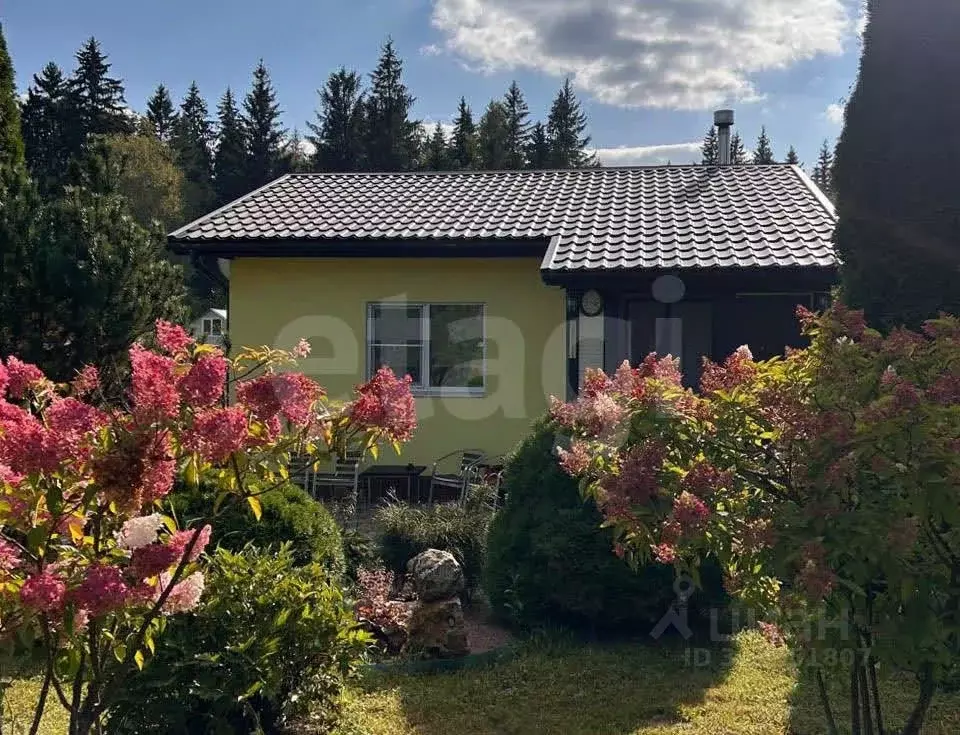 Дом в Московская область, Можайский муниципальный округ, Химик СНТ 92 ... - Фото 1