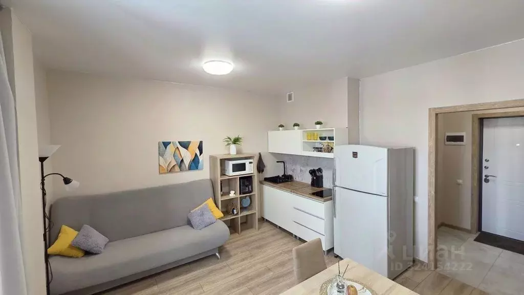 Студия Новосибирская область, Новосибирск Закаменский мкр, 16 (24.0 м) - Фото 2