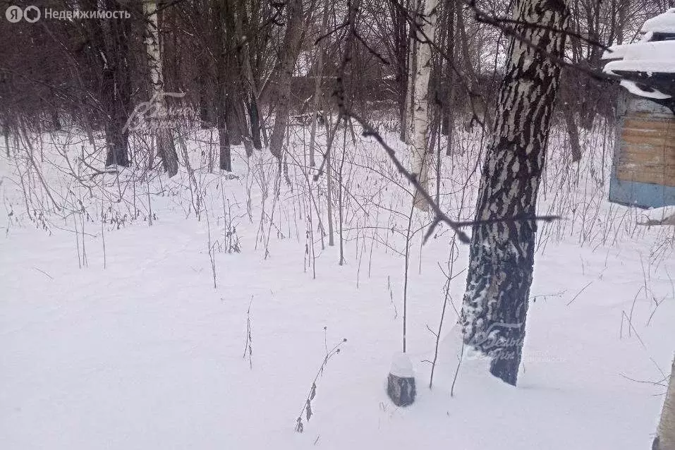 Участок в Москва, НАО, район Коммунарка, деревня Зимёнки (41.4 м) - Фото 2