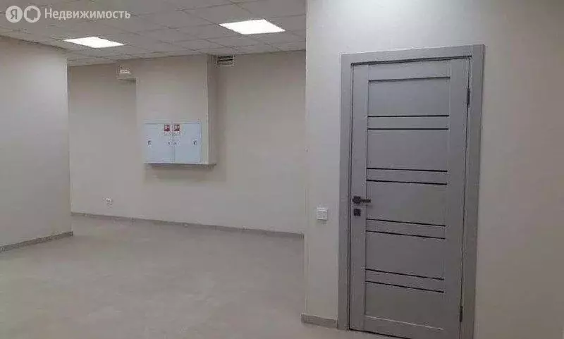 Офис (77.9 м) - Фото 1