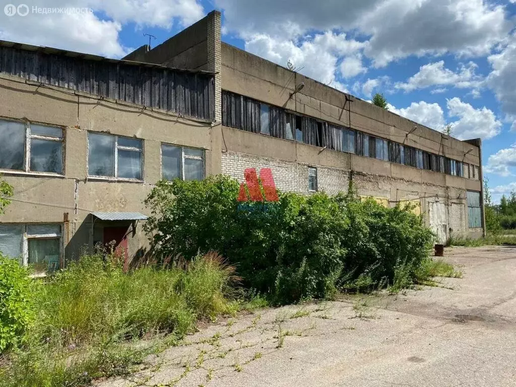 Помещение свободного назначения (230 м) - Фото 2