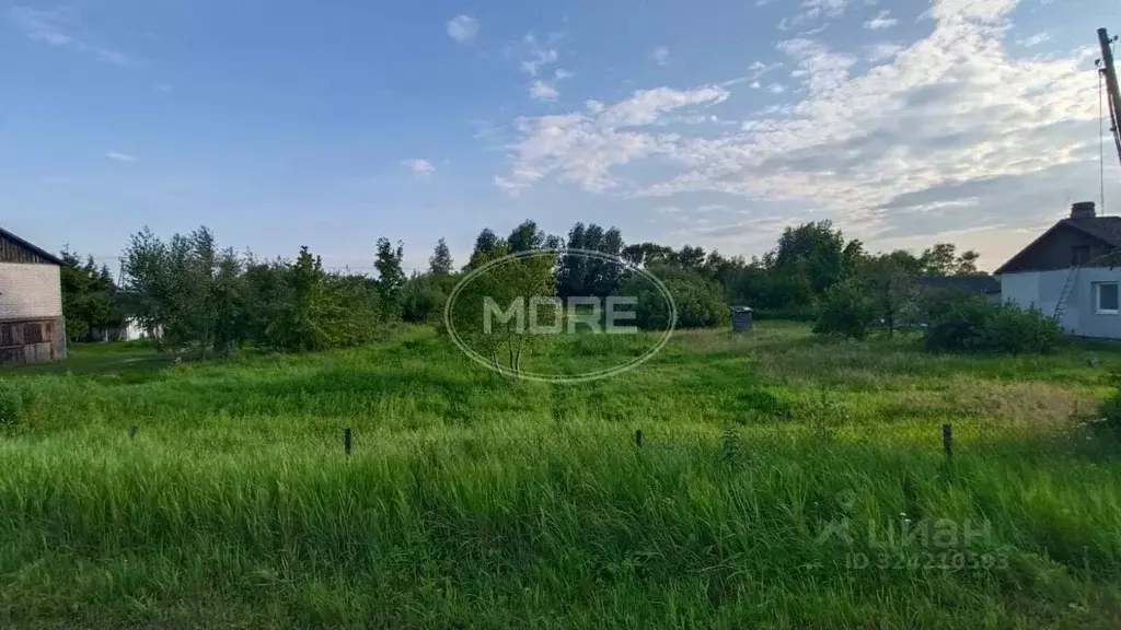 Участок в Калининградская область, Полесский муниципальный округ, пос. ... - Фото 1