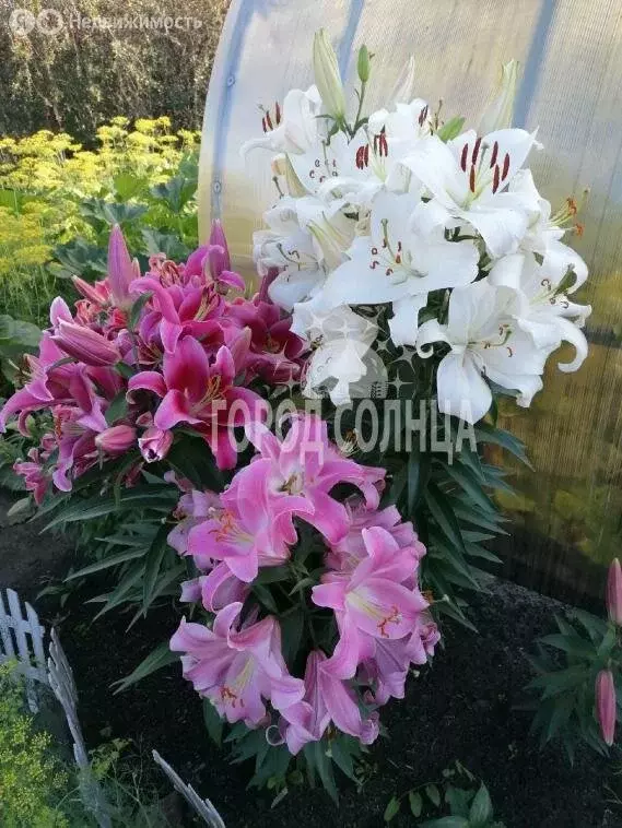 Дом в Омск, ГСК Центральный (20 м) - Фото 1