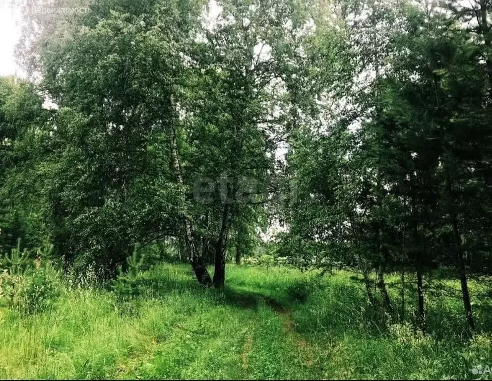 Участок в Алтайский край, городской округ Барнаул, посёлок Черницк, ... - Фото 2