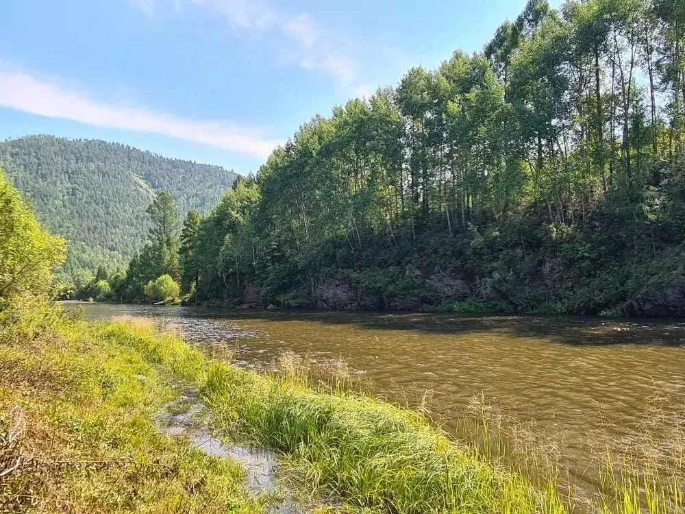 Дом в Иркутская область, Иркутский муниципальный округ, пос. Нижний ... - Фото 2
