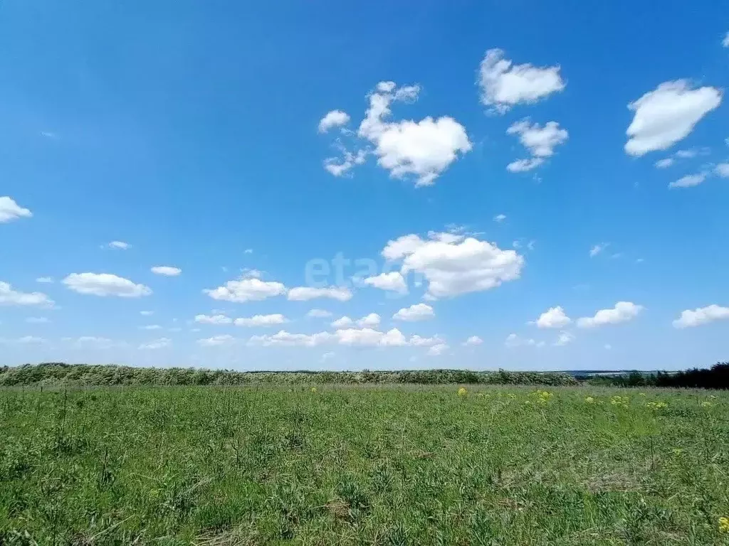Участок в Курская область, Курский район, Нижнемедведицкий сельсовет, ... - Фото 1