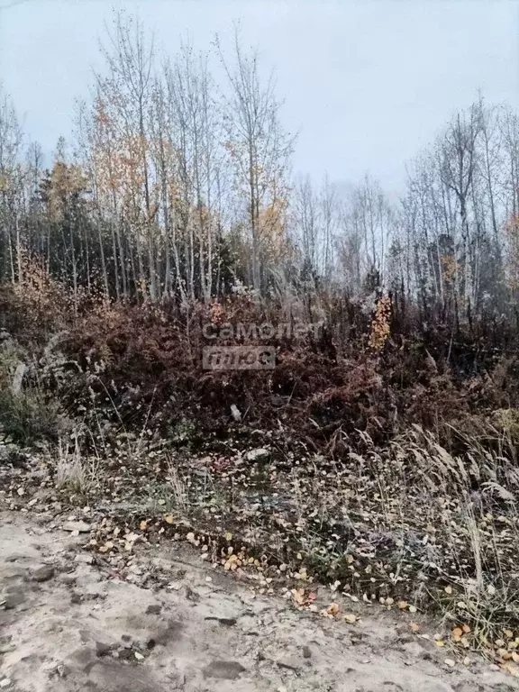 Участок в Иркутская область, Иркутский муниципальный округ, с. ... - Фото 1