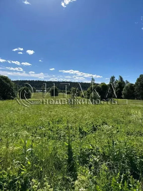 Участок в Ленинградская область, Выборгский район, Каменногорское ... - Фото 2