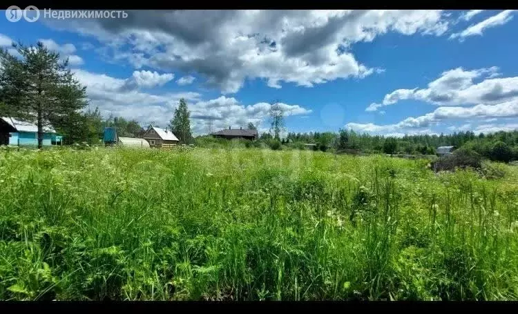 Участок в Череповецкий район, муниципальное образование Югское, ... - Фото 1
