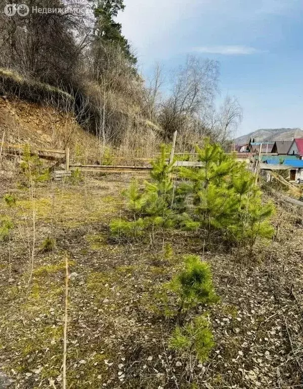 Участок в Майминский район, село Кызыл-Озек (10 м) - Фото 2