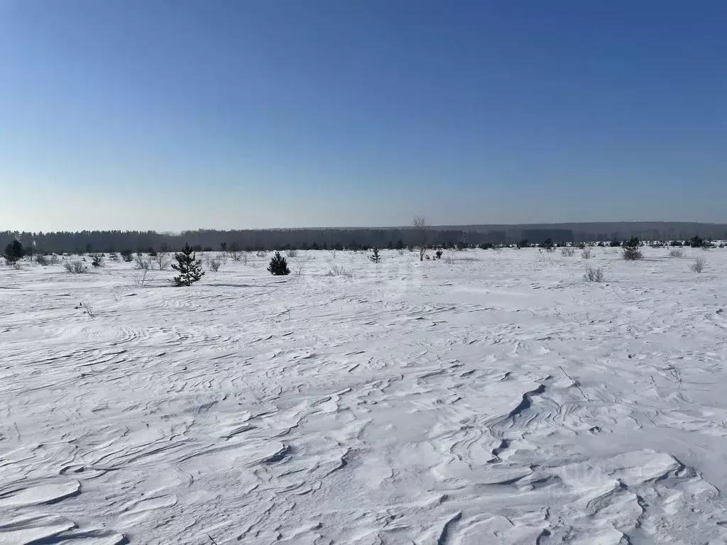 Участок в Челябинская область, Сосновский район, Солнечное с/пос, пос. ... - Фото 0