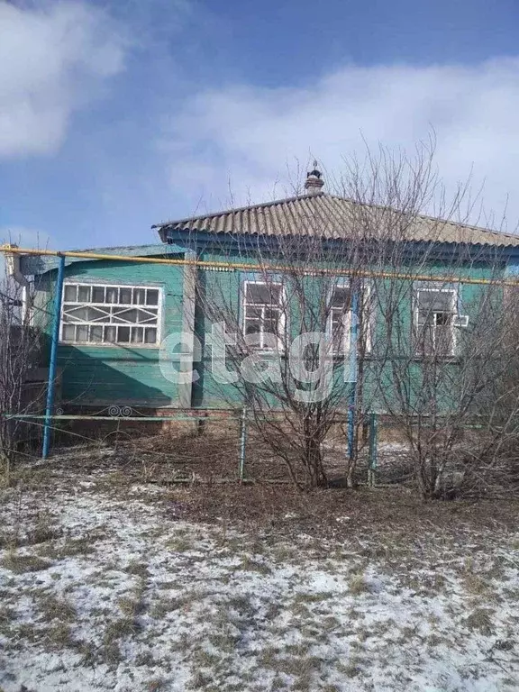 Дом в Белгородская область, Алексеевский городской округ, с. ... - Фото 1