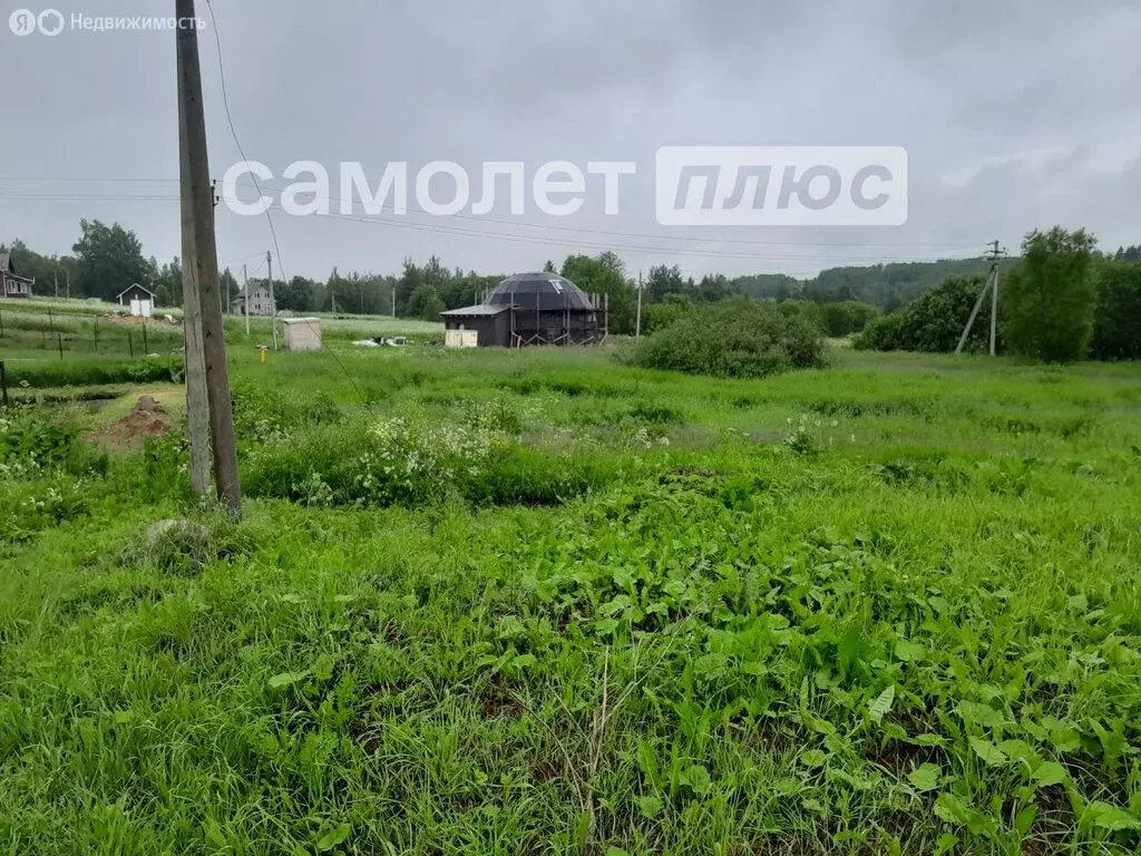 Участок в Вологодская область, Шекснинский муниципальный округ, ... - Фото 0