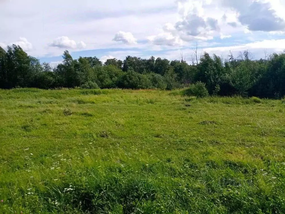 Участок в Свердловская область, Белоярский муниципальный округ, пос. ... - Фото 2