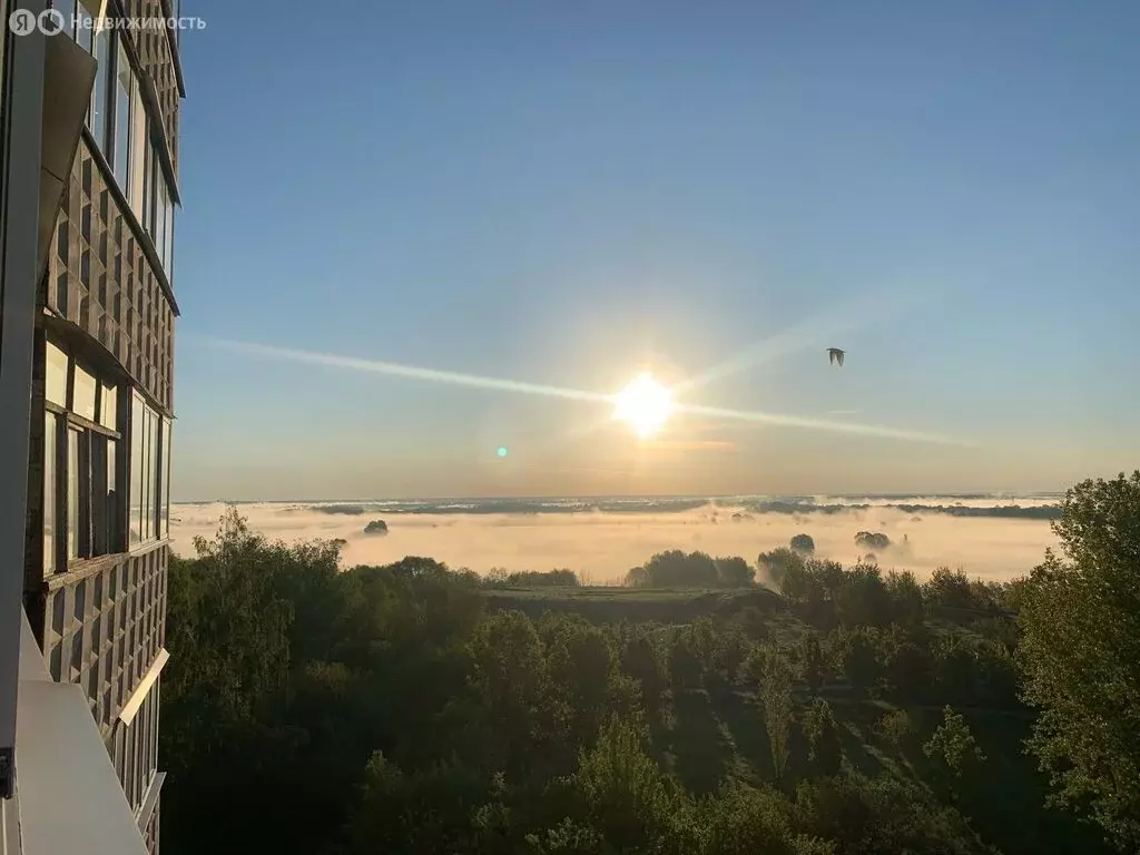 1-комнатная квартира: Рязань, улица Бирюзова, 31к1 (33 м) - Фото 1