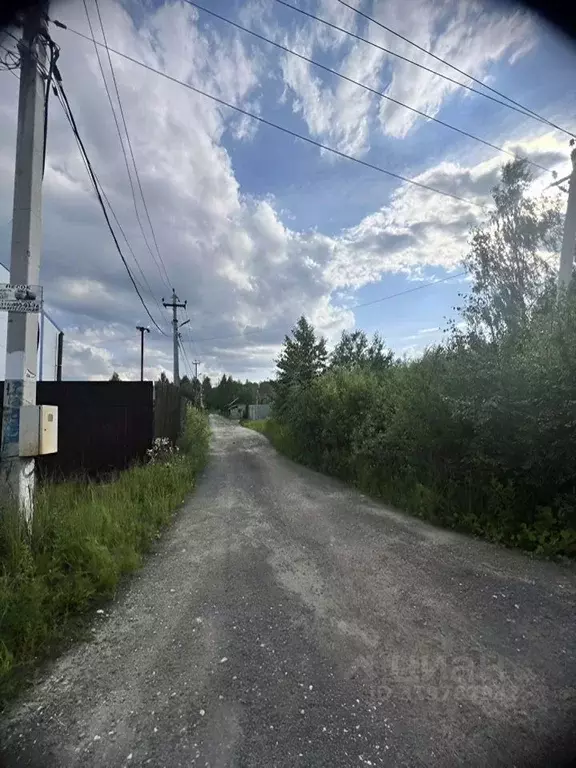 Участок в Московская область, Богородский городской округ, с. ... - Фото 0