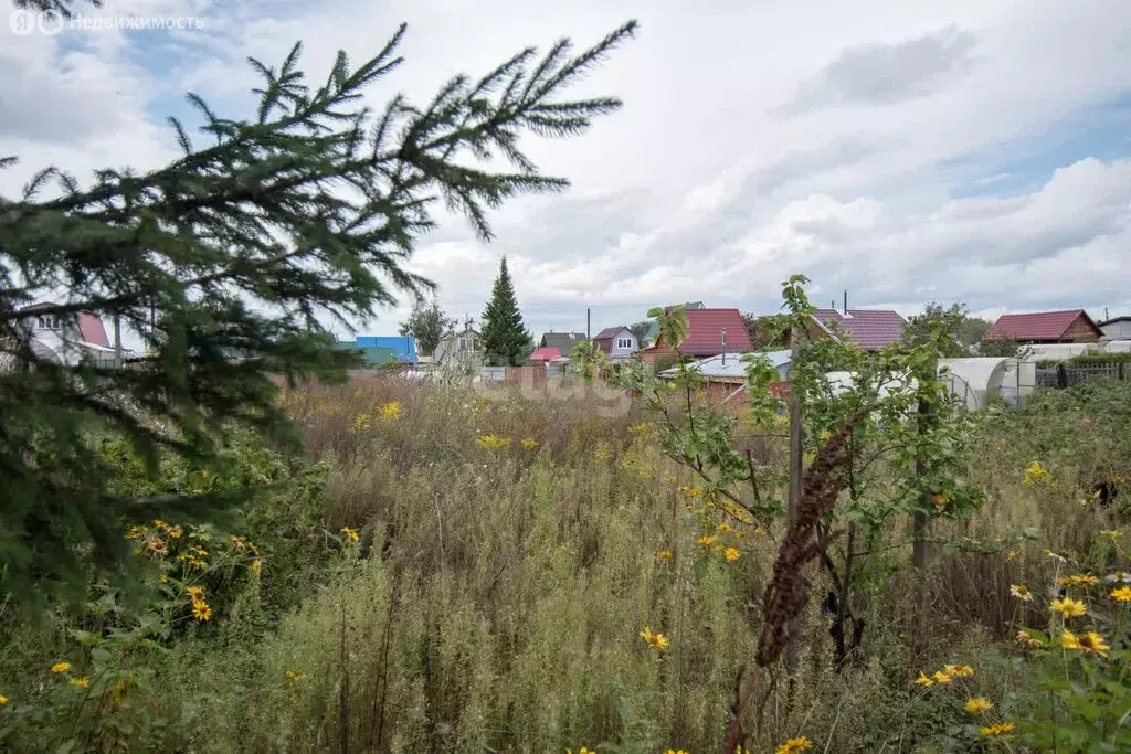 Участок в Бердск, садоводческое некоммерческое товарищество Радостное ... - Фото 0