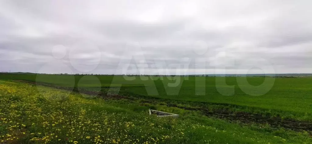 Участок 100 сот. (СНТ, ДНП) - Фото 0