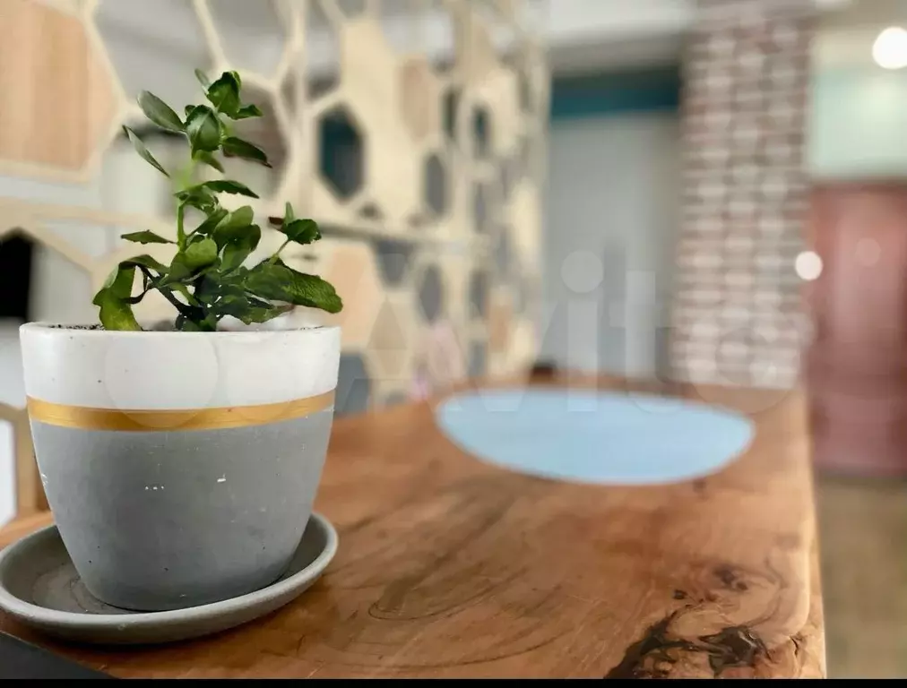 Квартира-студия, 30 м, 5/5 эт. - Фото 0