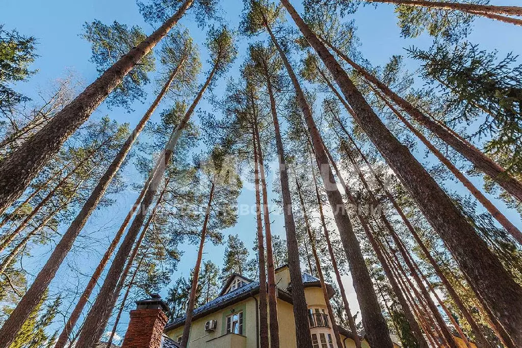 Продается дом в КП Лесное Подворье - Фото 2