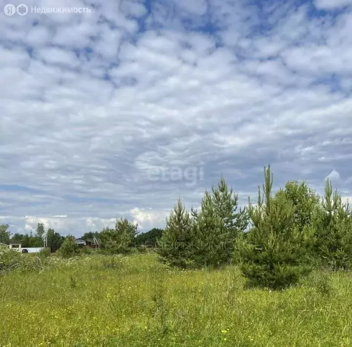 Участок в Шиховское сельское поселение, деревня Головизнины (17.6 м) - Фото 0