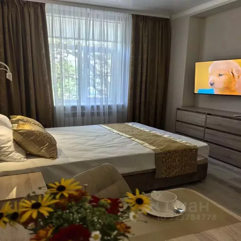 Студия Краснодарский край, Туапсе ул. Карла Маркса, 4/2 (22.0 м) - Фото 1