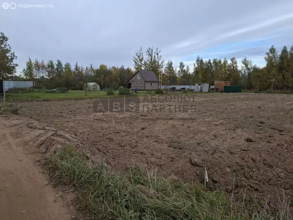 Участок в Новгородский муниципальный район, Ракомское сельское ... - Фото 2