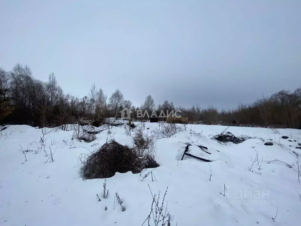 Участок в Пензенская область, с. Бессоновка ул. Карьер (15.0 сот.) - Фото 1