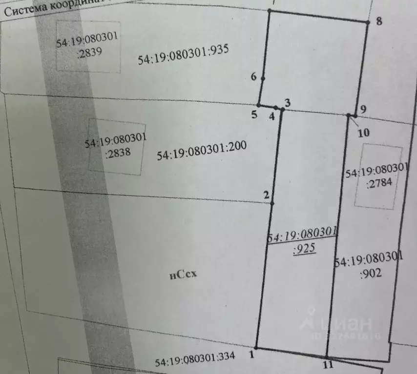 Участок в Новосибирская область, Новосибирский район, Мичуринский ... - Фото 0