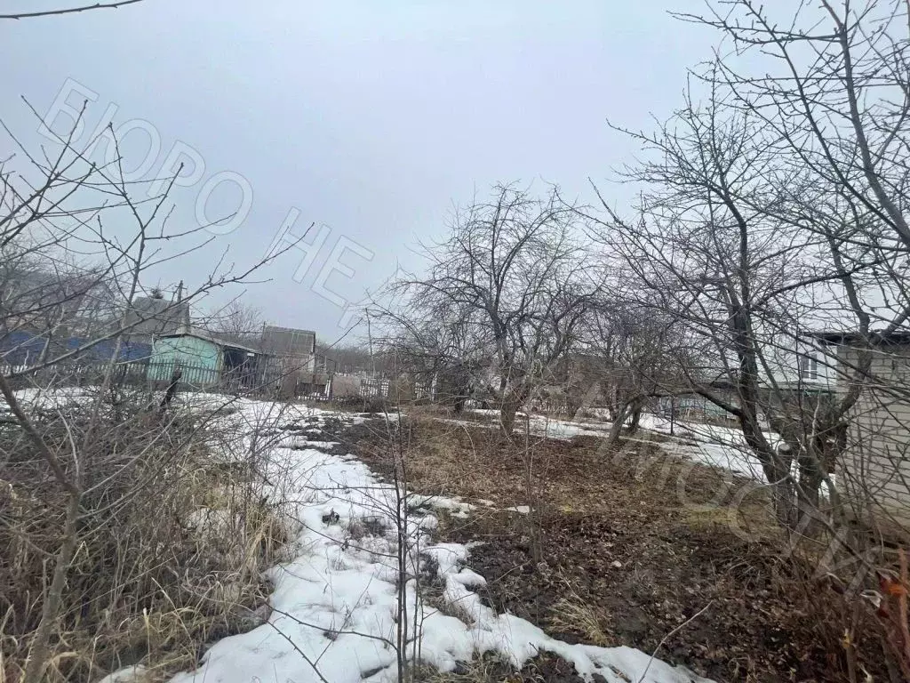 Дом в Саратовская область, Балашовский район, Тростянское ... - Фото 1