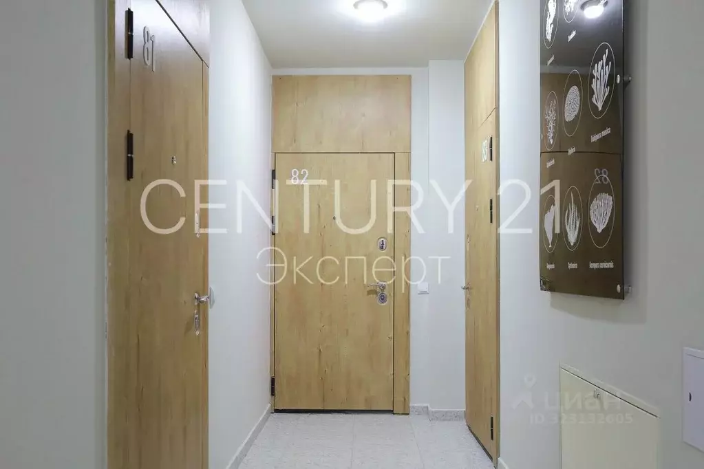 Студия Калининградская область, Пионерский Октябрьская ул., 6Б (30.0 ... - Фото 1