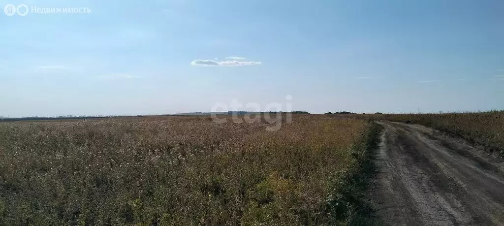 Участок в Новогусельский, территория СХПК Аграрник (570 м) - Фото 1