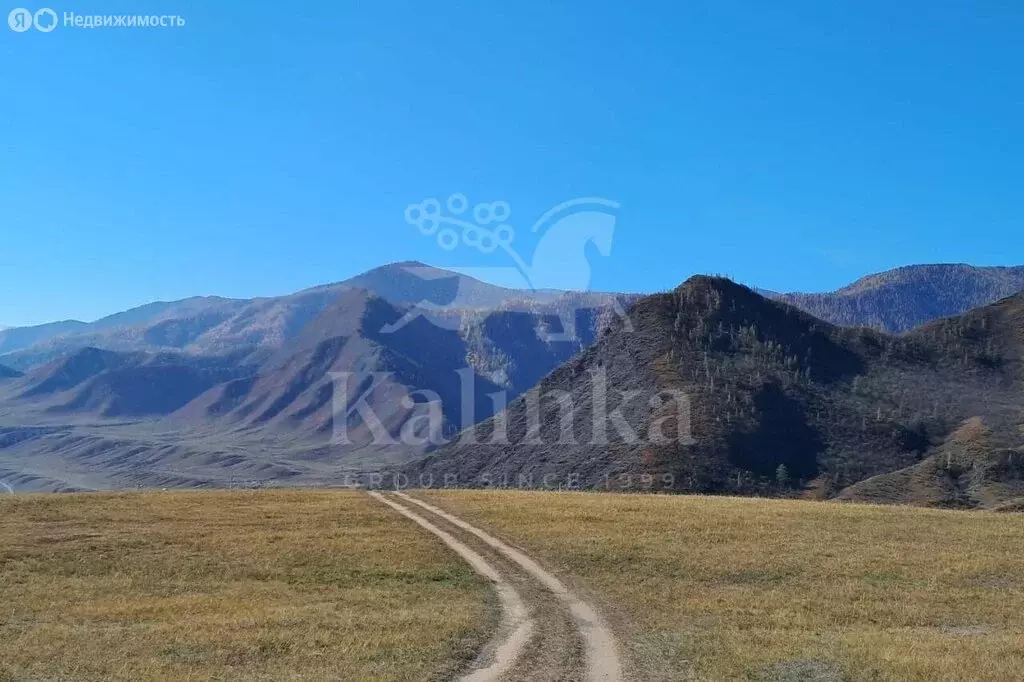 Участок в Онгудайский район, Купчегенское сельское поселение (800 м) - Фото 2