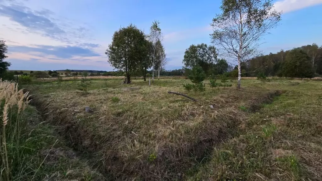 Участок в Калужская область, Боровский муниципальный округ, ... - Фото 1