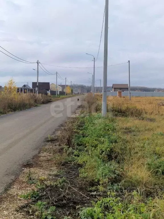 Участок в Мордовия, Кочкуровский район, с. Булгаково  (15.0 сот.) - Фото 2