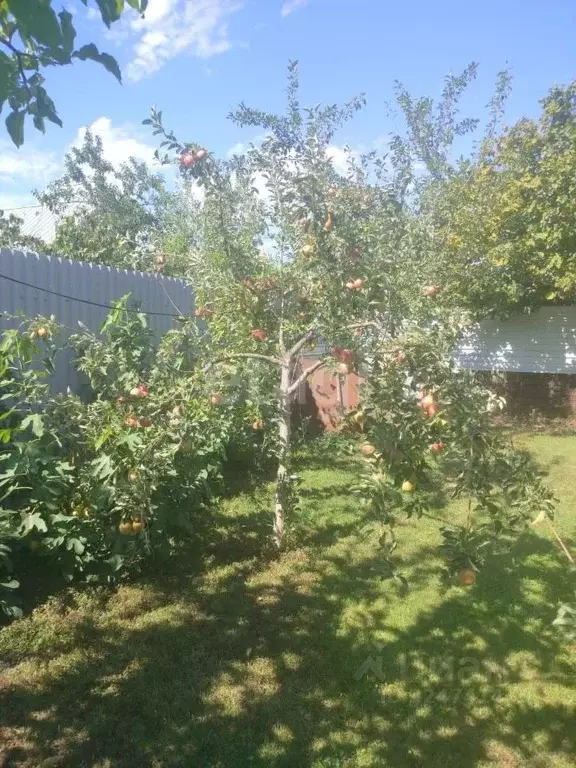Участок в Адыгея, Майкопский район, Абадзехская ст-ца  (20.0 сот.) - Фото 1