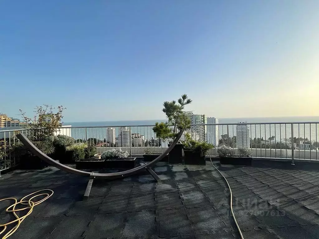 3-к кв. Краснодарский край, Сочи Светлана мкр, ул. Депутатская, 9 ... - Фото 1