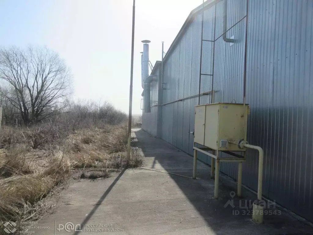 Производственное помещение в Чувашия, Вурнарский муниципальный округ, ... - Фото 2