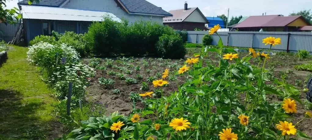 Дом в Тюменская область, Тюменский район, Боровое тер. ул. Садовая (30 ... - Фото 1