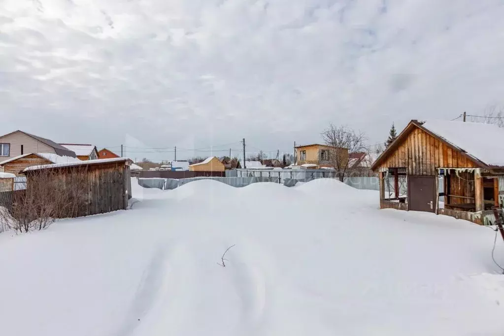 Участок в Тюменская область, Тюмень Строитель-1 СНТ, ул. Ягодная (4.2 ... - Фото 1